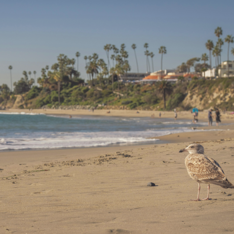 California home insurance market update showing improving placement options when bundling home and auto insurance.