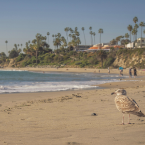 California home insurance market update showing improving placement options when bundling home and auto insurance.